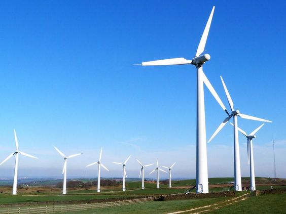 over ten large wind turbines with blue sky